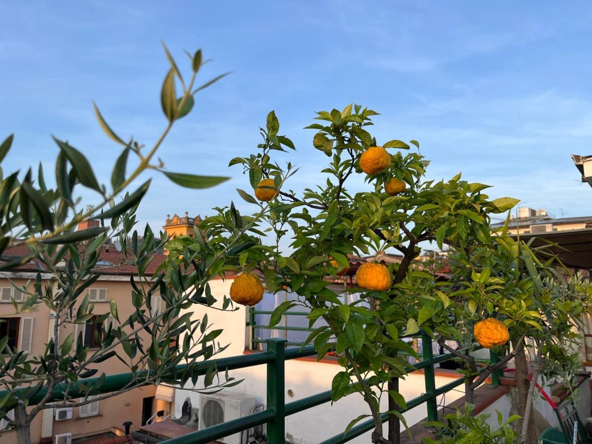 Hotel Zucconi Montecatini Terme Eksteriør billede